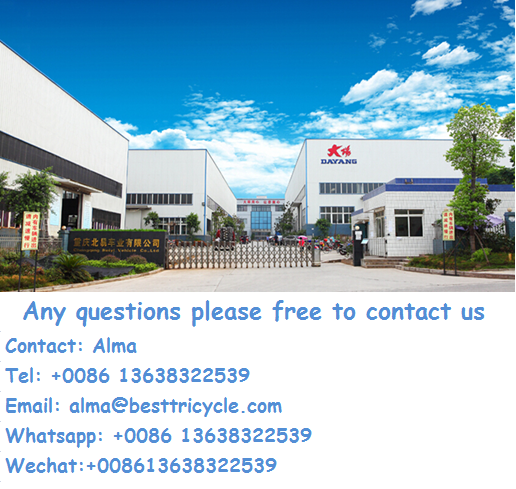 Dayang Gasoline Van Tricycle with 10-20L Fuel Tank Capacity and High Grade Ability ≥25°
