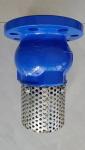 ductile iron flanged ANSI foot valve