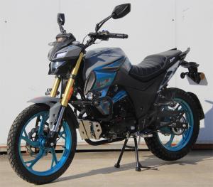 Quality Xtremo Raptor 250 Engine With Balance Four Stroke Digital Speedometer Disc Brake USD410 Luxurious Street Motorcycle wholesale