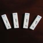 Urine Fertility FSH Menopause Test Card