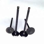 D2366 Excavator Engine Intake Valve And Exhaust Valve