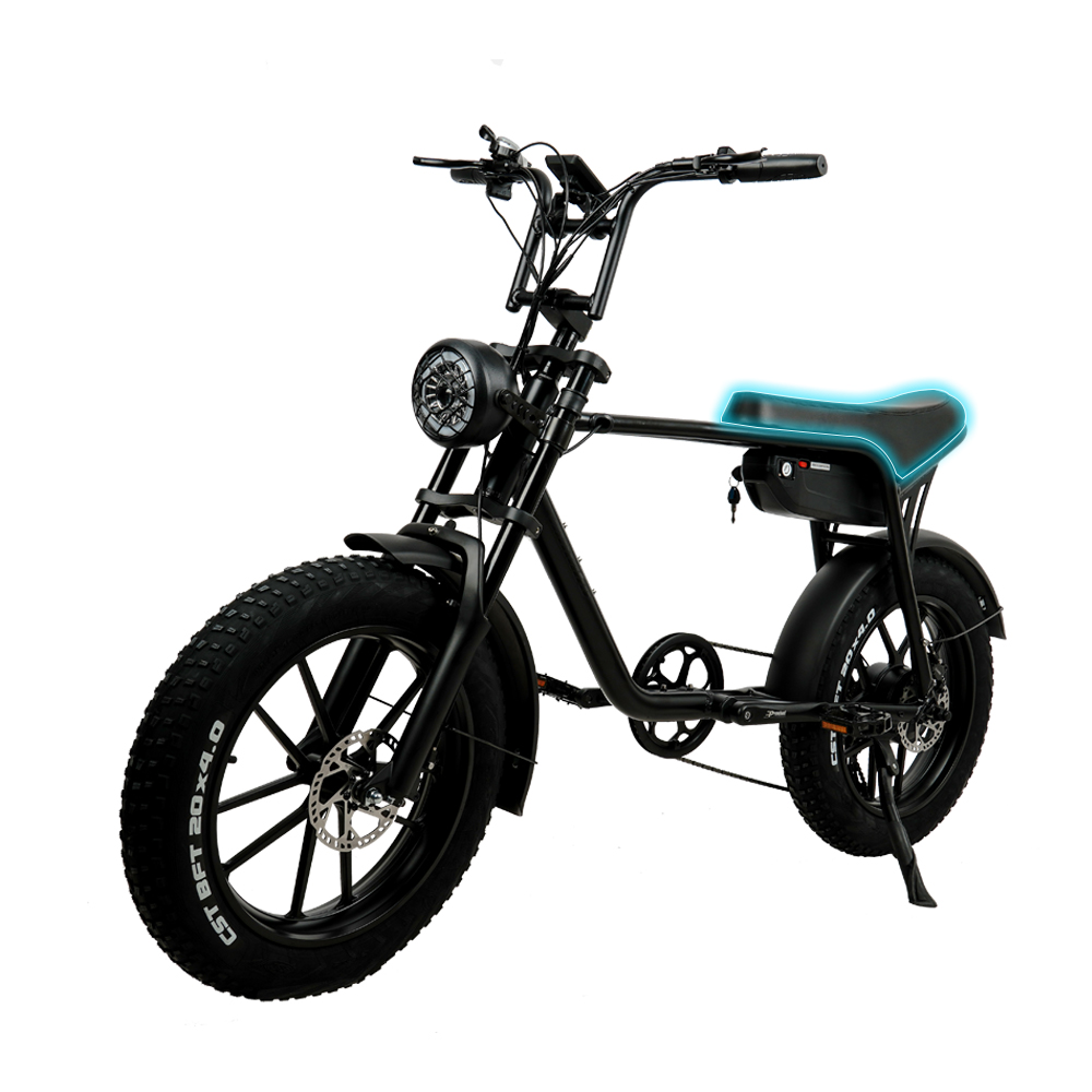 48V 15AH 750W Super 7 3 Fat Wheel Electric Bike With 10 Beams Integrated Wheel
