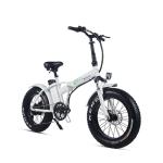 500W Motor Fat Electric Bike Foldable with 48V 15AH Lithium Battery and 20"