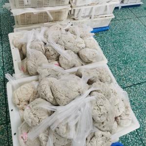 Quality Customization Lamb Intestine Casings For Snack Sticks No Additives wholesale