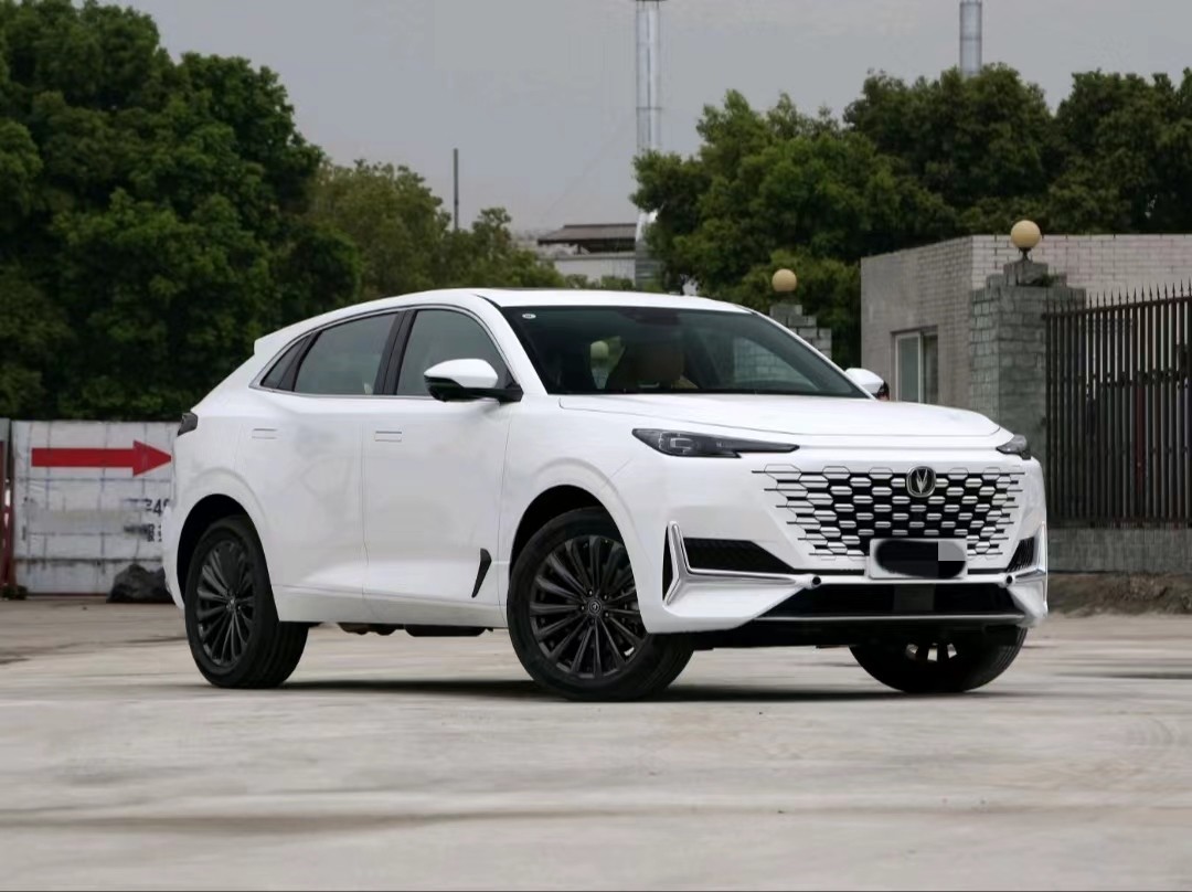 UNIK New Energy 2022 Blue Whale IDD 1.5T Zhuoyue Version Hybird Medium SUV