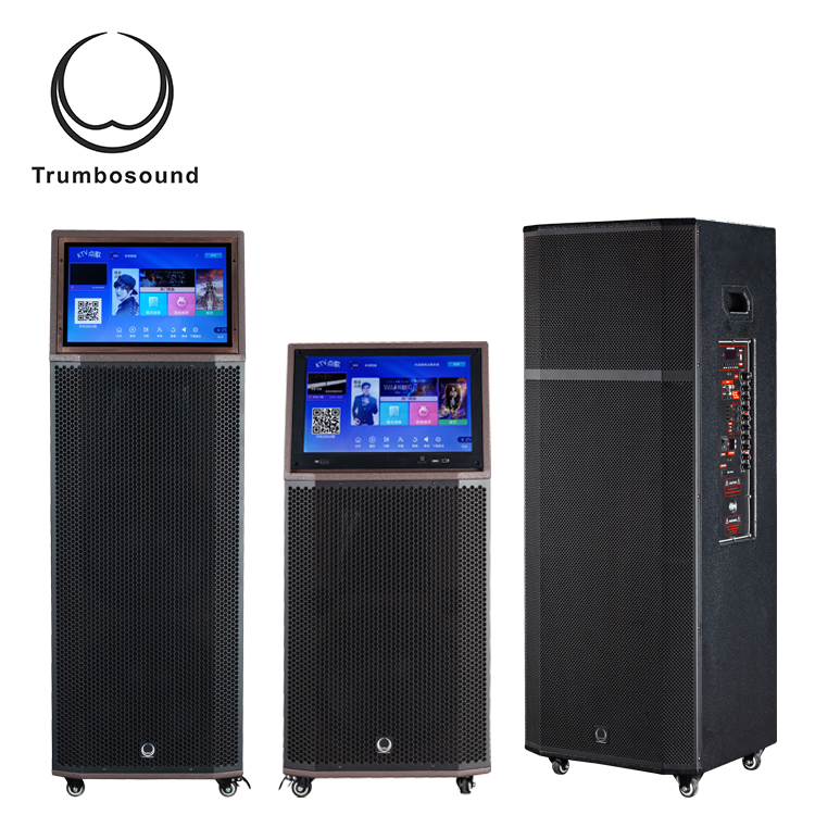 Bluetooth Multifunction Mobile Speaker 15 Inch Two Way Loudspeaker Wifi Loudspeaker