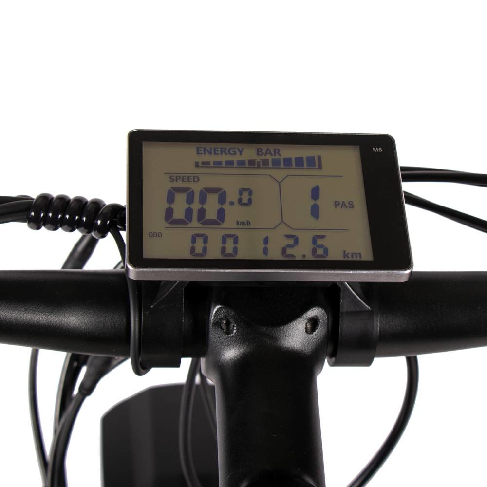 Electric Mountain Bike Fat Tyre Ebike 1000w Big Tire Electric Bicycle Hardtail Frame