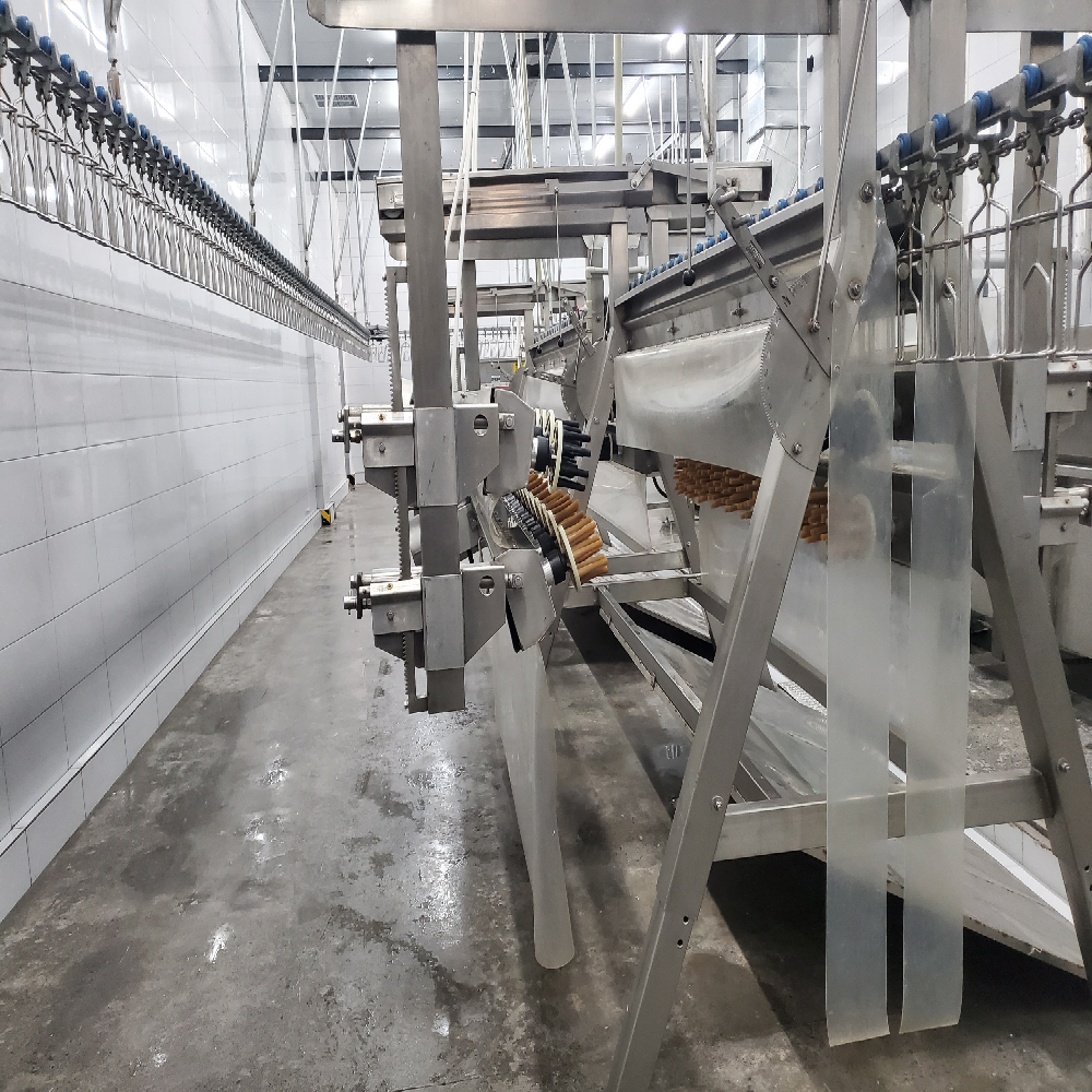 Stainless Steel Slaughter Processing Line 500bph 10000bph Chicken Abattoir Equipment