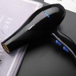 Professional Salon Ionic Diffuser Hair Dryer Multifunctional AC Motor