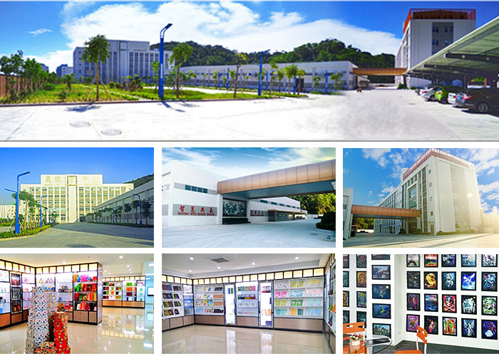 Custom 3D Lenticular Printing Flip Picture for Advertisement / Souvenir