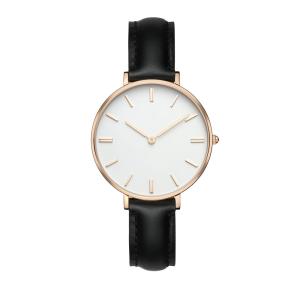 Quality Elegant Waterproof Ladies Stainless Steel Watches Harded Crystal wholesale