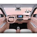 Adult Electric EV Small Car Geely Panda Used Compact Car Fast Charging