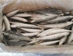 90g 100g IQF Frozen Whole Muroaji Fish HACCP Approved