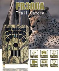 Quality PR300A Hunter Trail Camera IP54 Waterproof 46pcs IR Lights 720P wholesale