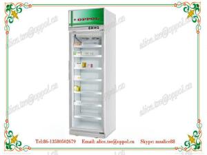 Quality OP-811 Humanized Design Low Temperature Pharmacy Freezer ,Cooler For Drug Storage wholesale