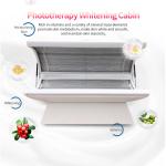 GY W4L Anti Aging LED Red Light Therapy Beds Whole Body SPA Capsule
