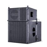 Polyurea Paint Line Array Cabinet Professional Audio Box