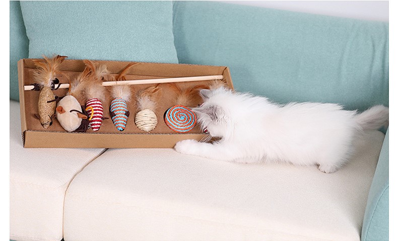 Cat Teaser Playing Cat Toys Interactive Set Wooden Gift Box 7pcs Cat Teaser Wand for Cats