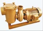 BP30 Swimming Pool Water Pumps For Swimming Pool