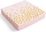 DT2096 Disposable Party Tableware