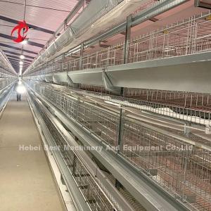 Quality Hot Dip Galvanized Poultry Cage System White Layer Farm Bird Housing Adela wholesale