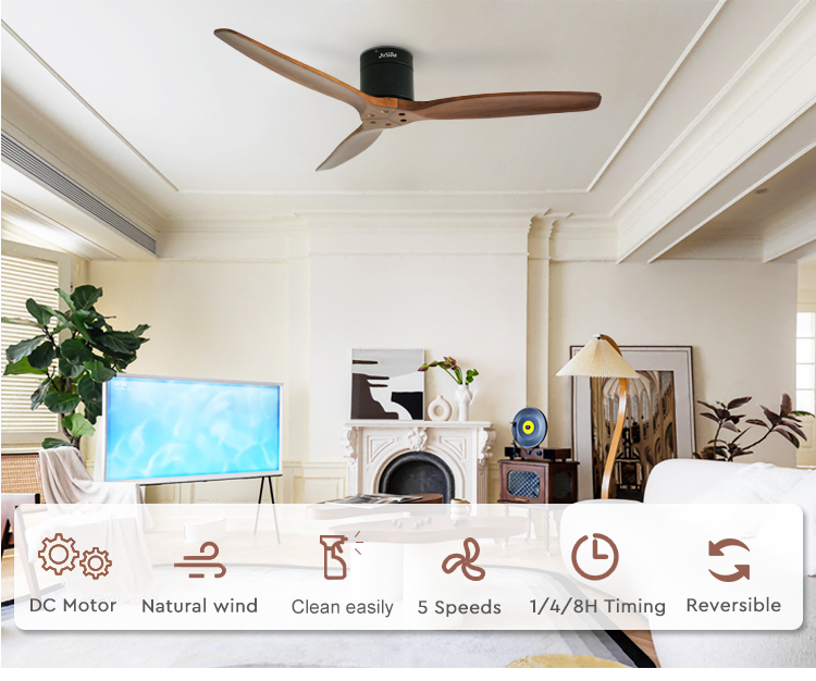 ceiling fan