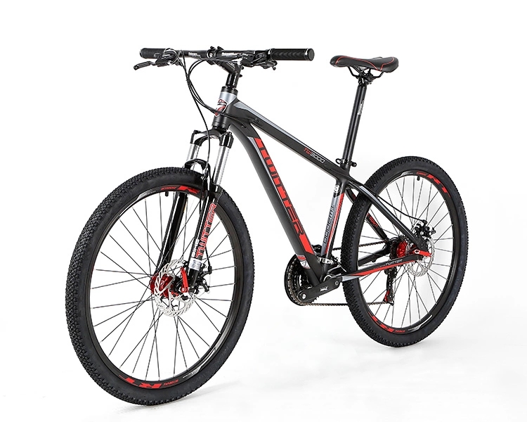 Lightweight Carbon Fiber Road Bike Road Racing Bicycle 24 Speed Gears CE