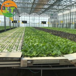 Quality Pressure-Resistant Glass House for Large-Scale Growth of Vegetable Fruits and Flowers wholesale
