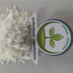 coconut juice powder buy best coconut milk water powder uses health benefits
