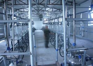 Quality 32 Milking Units Quick - Release Herringbone Milking Parlor For Small , Medium , Large Farm wholesale