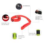 LED Lighted Nylon Fabric Safety Pet Dog Leash With Bright Shining Light