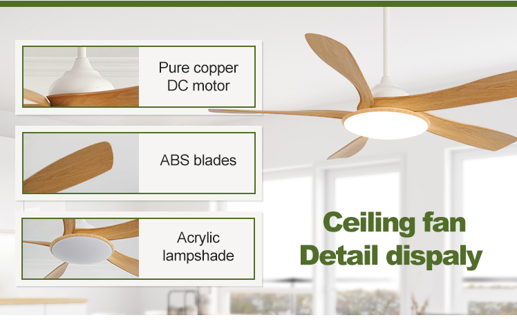 Modern Design 5 ABS Blades LED Ceiling Fan with Silent Motor and ROHS Certification