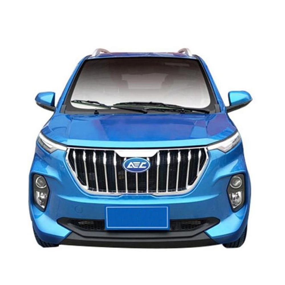 Raysince High End Quality Vehicle Electric Wholesales Cheap Price Fast Electric Car for Adult