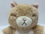 Talking Plush Cat Singing for Kids Repeat What You Say. Animated Toy Gift for