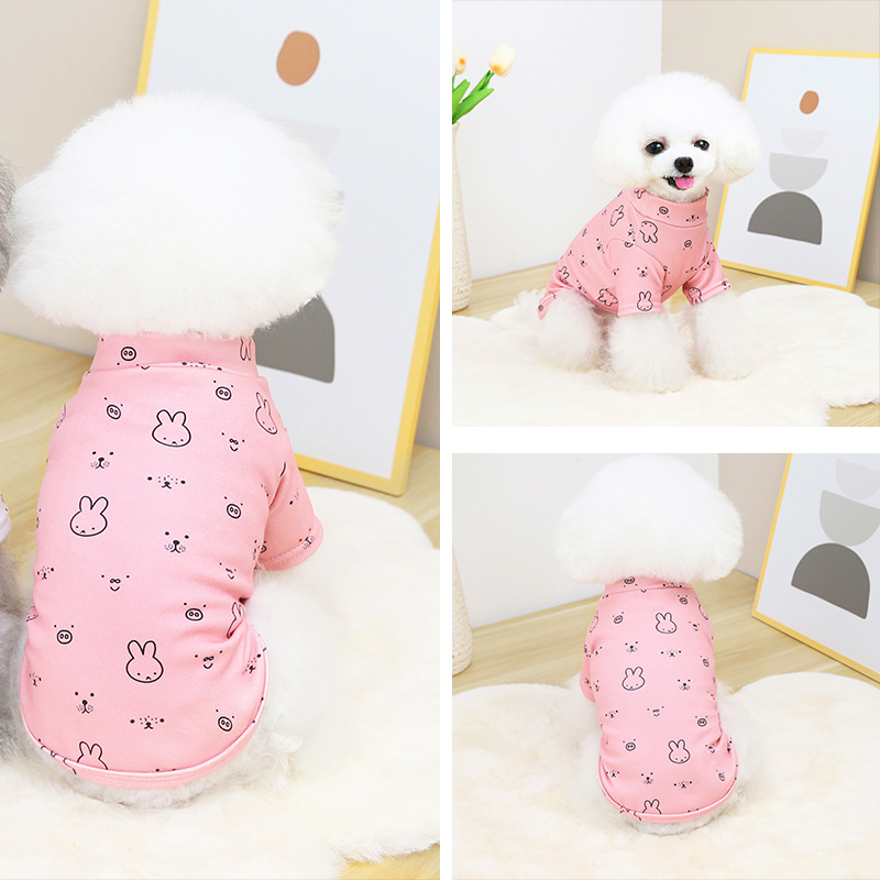 Teddy Dog Logo Pets Wearing Clothes Sublimation 20cm Custom Dog T Shirts