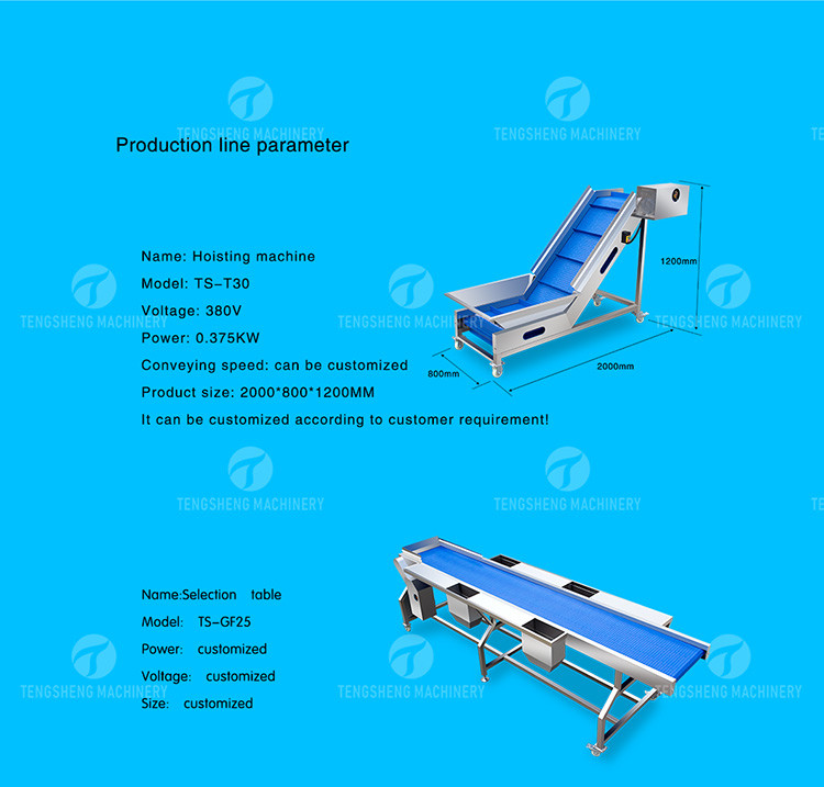 Automatic Fruit And Vegetable Processing Line Selection Washing Drying