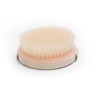 Quality Cruelty Free Fiber Bristle Brush Massage Brush For Body Cellulite Exfoliating wholesale