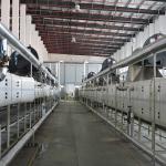 Non Fried Indomie Noodle Processing Line 380V 50HZ Instant Noodles Machinery