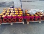 WJ41H DIN cast iron bellows globe valve PN10/16
