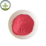 dragon fruit juice powder buy pitaya powder best health benefits supplement