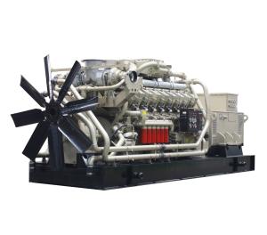 Quality Good Price 1MW Biogas Generator for sale wholesale