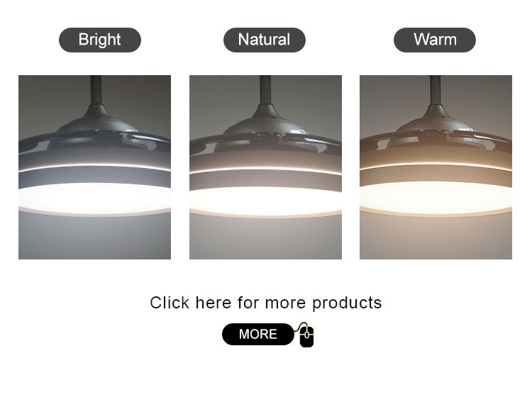 1stshine Hidden Blades Ceiling Fan Energy Saving for Home Hotel Office Environments