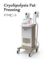 Quality Vacuum Fat freeze cryolipolysis slimming multipolar radiofrecuency crolipolysis machine wholesale
