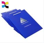Silver Stamping Blue Paper Bags Custom Logo Printing For Shopping Gift Coloful