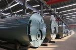Eco Friendly Oil Fired Steam Boiler WNS Series For Plywood Plant Easy Maintenanc