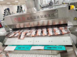 Quality Liquid Nitrogen Tunnel Mesh Belt Tunnel Freezer 15KW 2100KG/H 2500KG/H wholesale