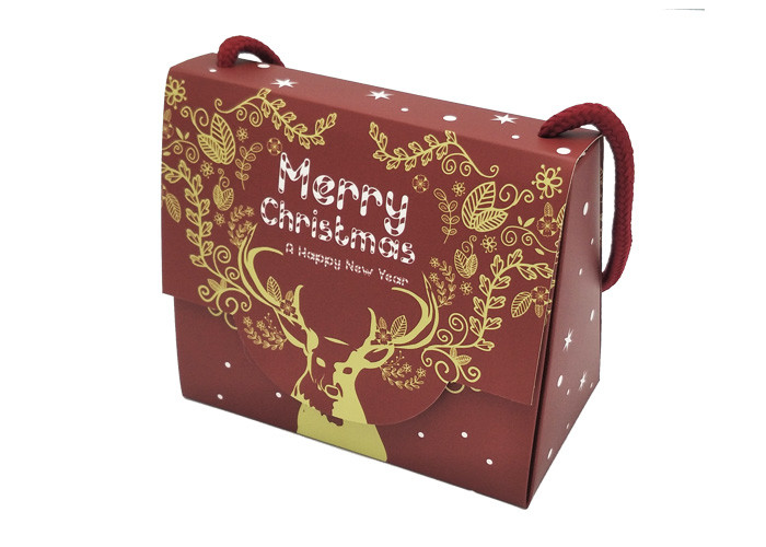 Luxury Custom Color Printing Cute Shopper Paper christmas Gift Packaging