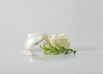 30G 50G 100G Acrylic Cream Jar plastic cream and lotion jars Luxury Cosmetic