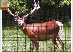 Quality Strong Black Plastic Mesh, Deer Fence Netting, Deer Barrier, 1 Meter High, 50MM Hole Size wholesale