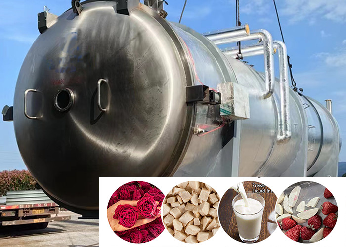 PLC Control Industrial Vegetable Freeze Dryer 300Kg/Batch